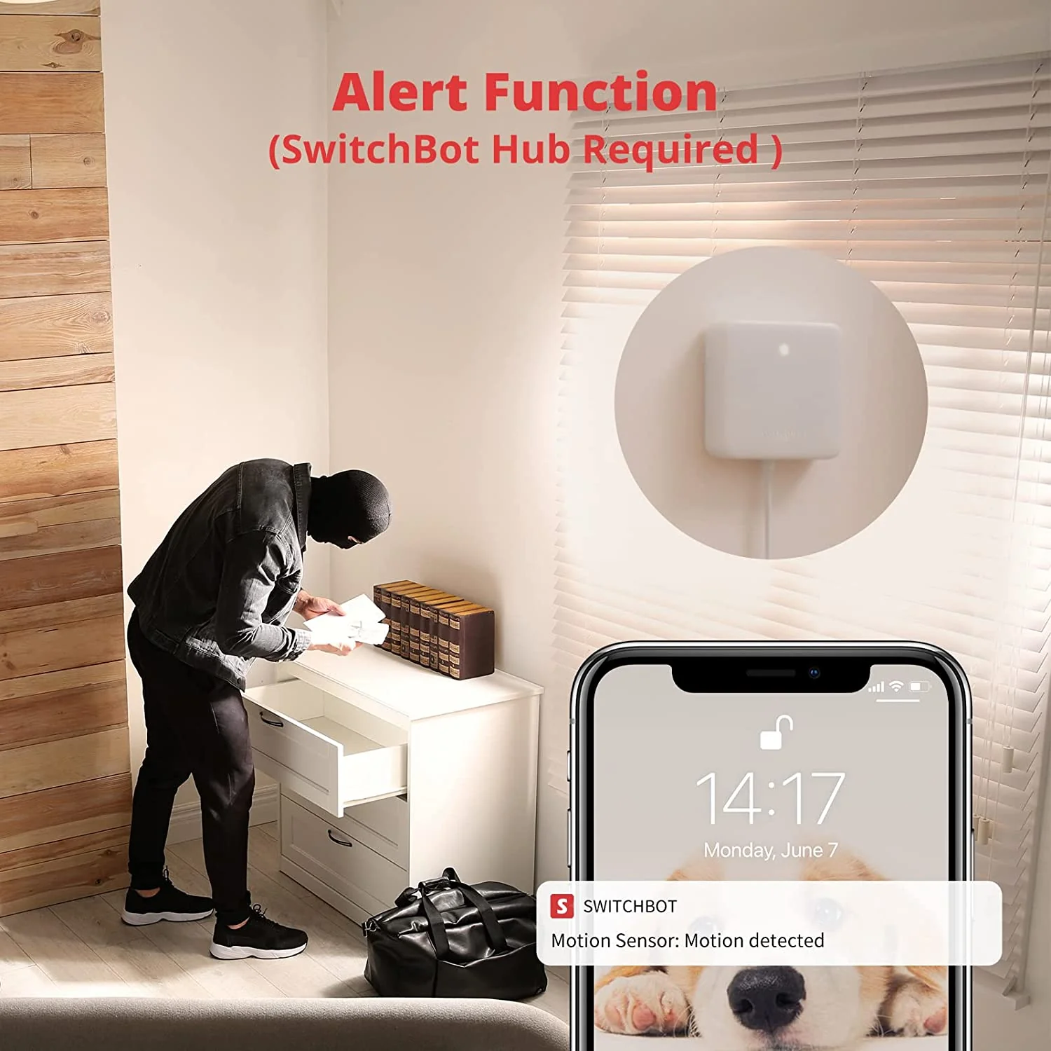 SwitchBot Motion Sensor - Image 6